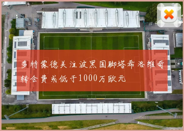 多特蒙德关注波黑国脚塔希洛维奇转会费或低于1000万欧元